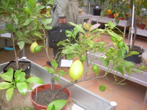 dscn8708.jpg