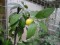 dscn3021.jpg