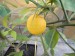 DSCN1457